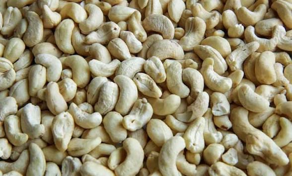 Cashew nuts product photo